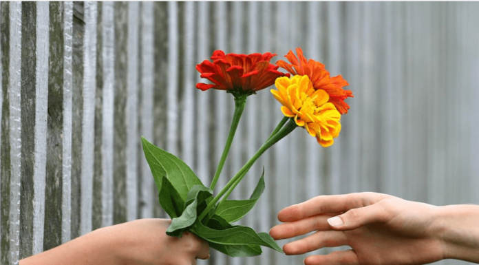 Filantropi Adalah Cara Memberikan Cinta Kasih Untuk Membantu Sesama, Inilah Yang Dilakukan WVI filantropi adalah