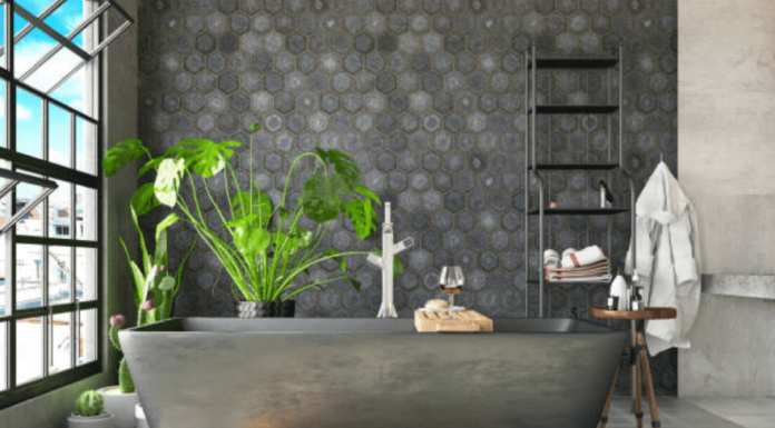 Inilah Jenis-Jenis Tanaman Yang Bisa Ditempatkan Di Toilet tanaman yang bisa ditempatkan di toilet