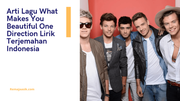 arti lagu what makes you beautiful arti lagu what makes you beautiful